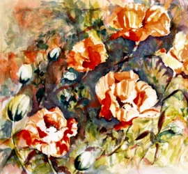 Immagine sconosciuta